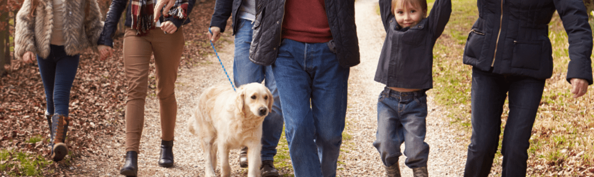 Kai sveikata prasideda nuo gamtos: „Medicata“ nauji produktai rudens sezonui